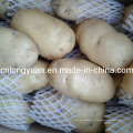 Nouvelle récolte de pommes de terre fraîches avec emballage en carton